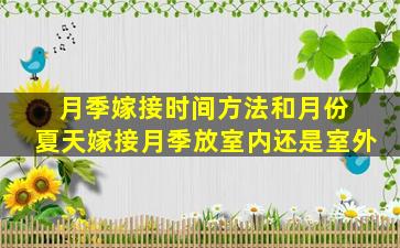 月季嫁接时间方法和月份 夏天嫁接月季放室内还是室外